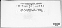 Image Associated With the Occurence